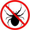 Exterminate Spiders - Spider Pest Control