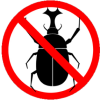 Pest Control For Beetle