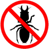 Pest control service for beetle infestation