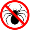 Spider Infestation - preventative pest control