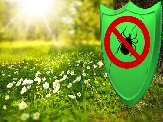 Protect your yard from pest