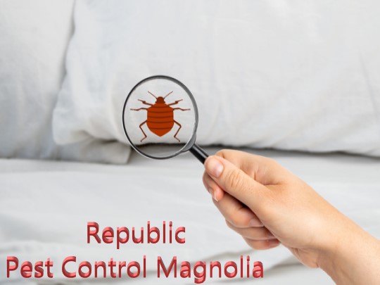 Hot Bed Bug Treatment